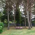 Le Pine By Interhome Hébergement de vacances Galbino