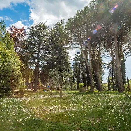 Le Pine By Interhome Galbino